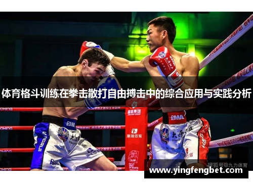 体育格斗训练在拳击散打自由搏击中的综合应用与实践分析